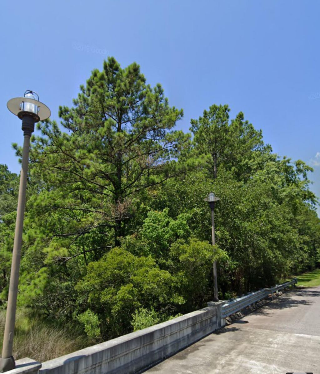 0 Sportsman Island Dr Drive Photo 6