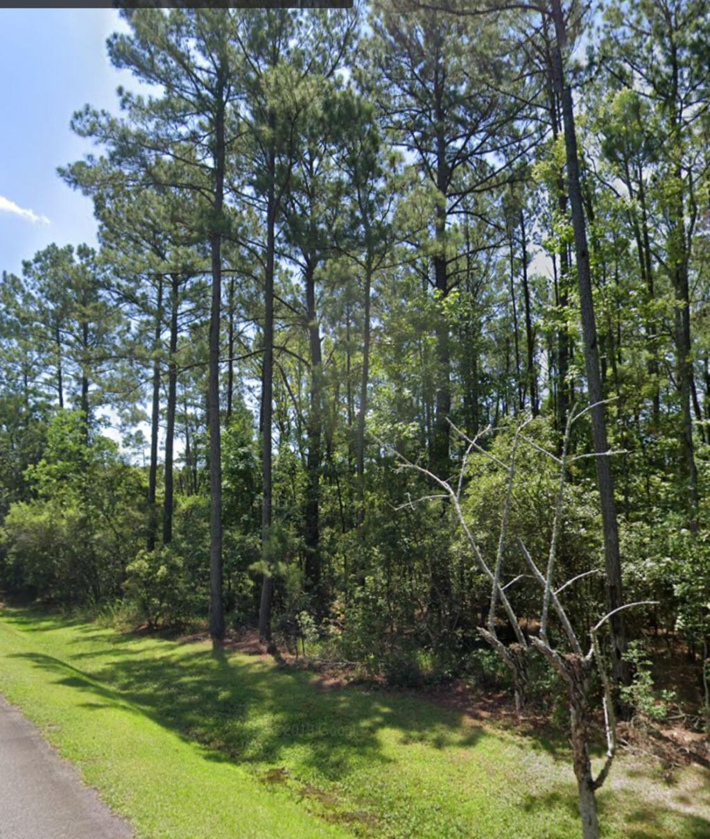 0 Sportsman Island Dr Drive Photo 7