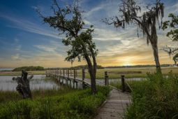 1456 Mcpherson Landing photo 4