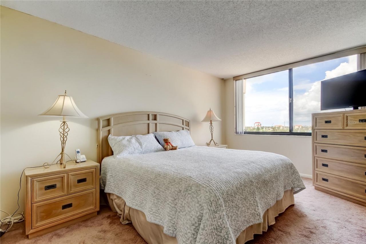 6218 Palma Del Mar Boulevard S, Unit 606, Saint Petersburg, FL 33715 Photo