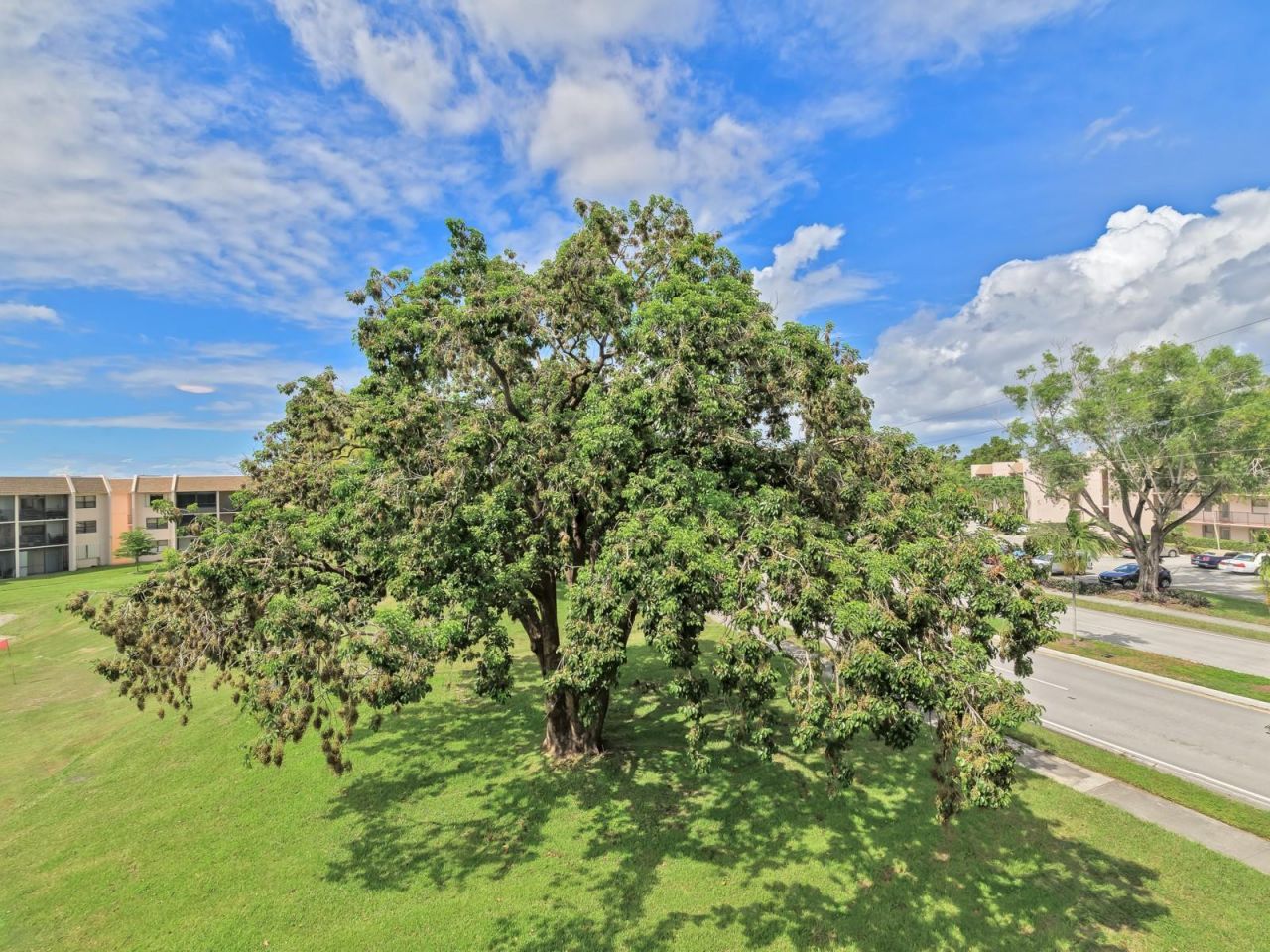 10402 Sunrise Lakes Boulevard, Unit 312, Sunrise, FL 33322 Photo