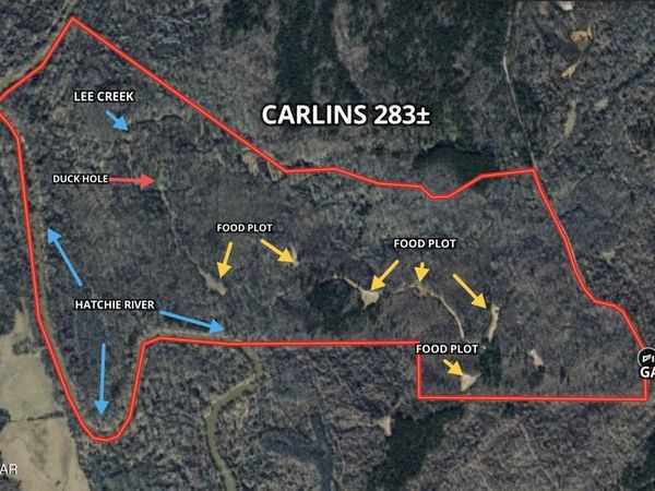 0 Carlins Road, Hornsby, TN 38044