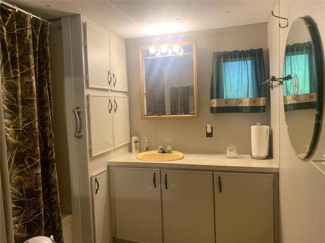 24605 And 24645 NE 177th Terrace, Fort Mc Coy, FL 32134 Photo