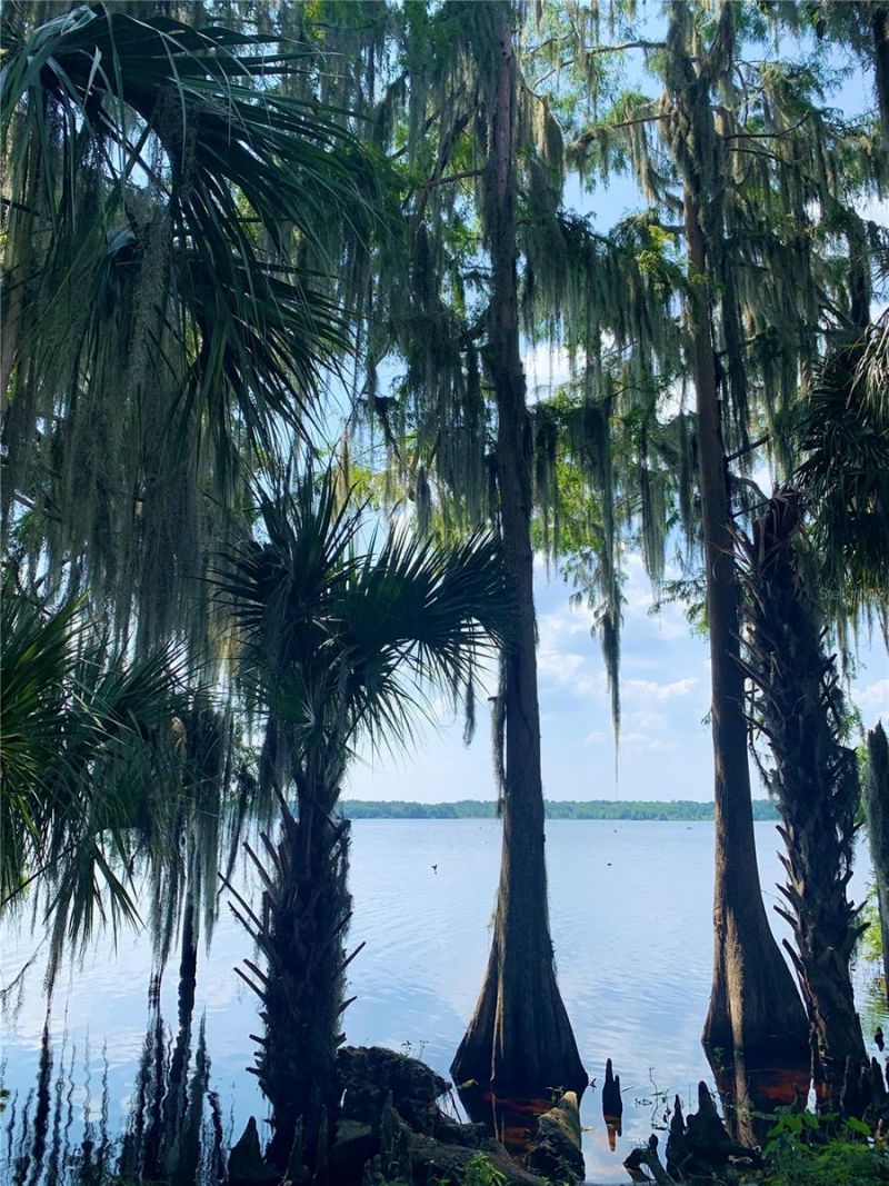 24605 And 24645 NE 177th Terrace, Fort Mc Coy, FL 32134 Photo