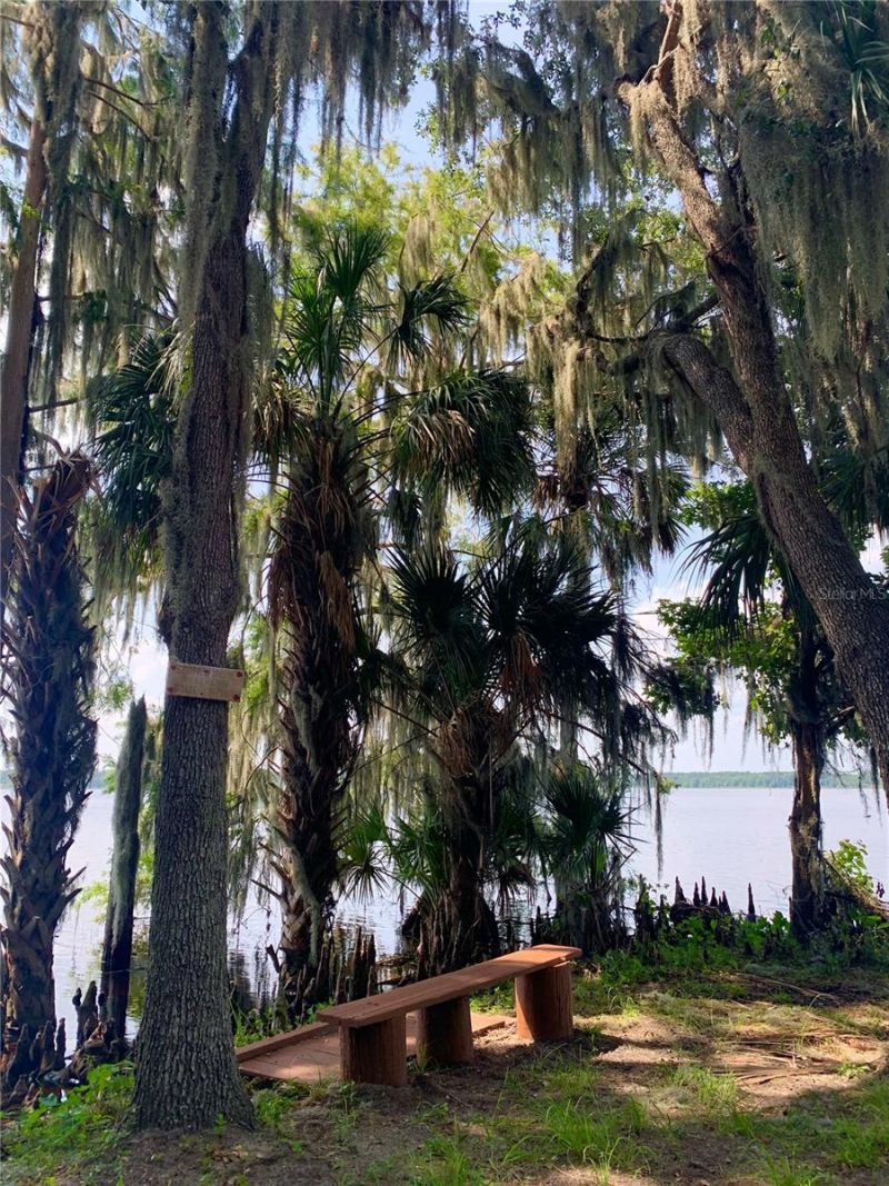 24605 And 24645 NE 177th Terrace, Fort Mc Coy, FL 32134 Photo