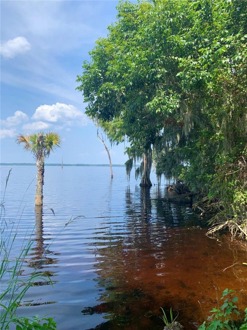 24605 And 24645 NE 177th Terrace, Fort Mc Coy, FL 32134 Photo