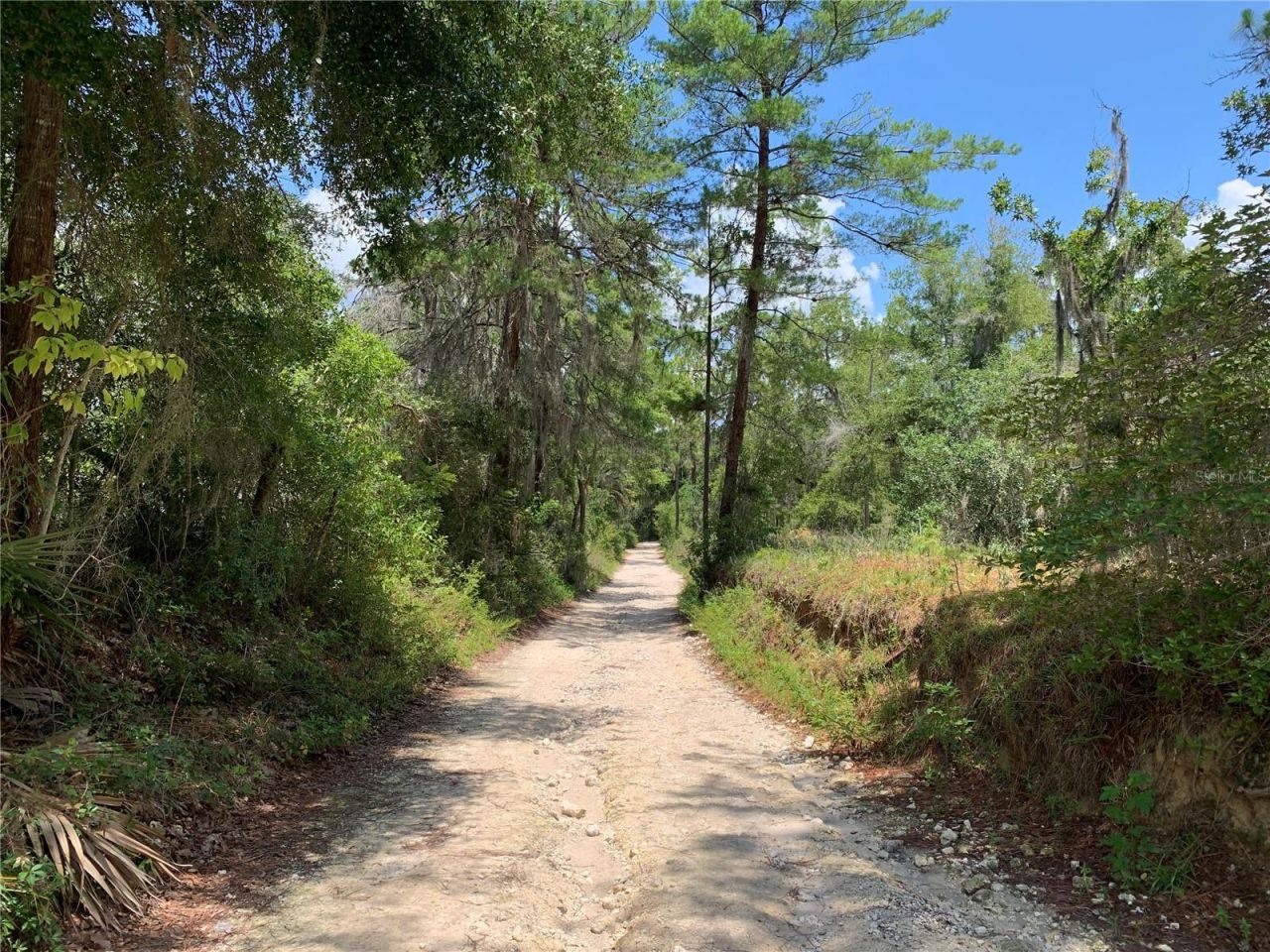 24605 And 24645 NE 177th Terrace, Fort Mc Coy, FL 32134 Photo