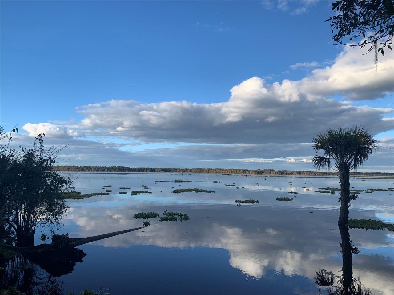 24605 And 24645 NE 177th Terrace, Fort Mc Coy, FL 32134 Photo