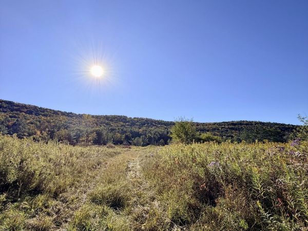 L 36 St Rt 30 Off, Gilboa, NY 12076