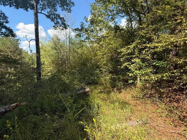 COUNTY RD 3730, Addison, AL 35540