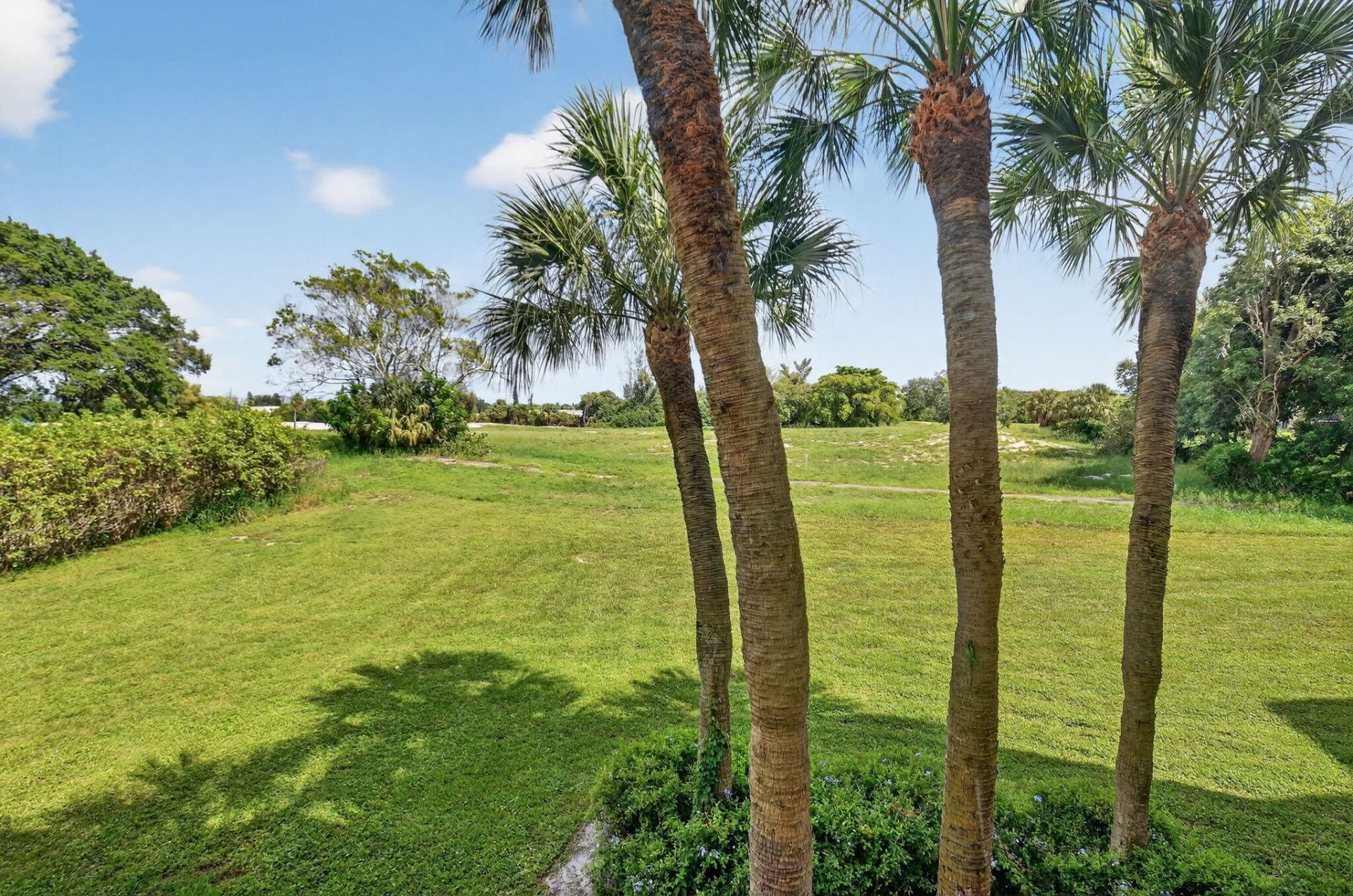 5340 NW 2nd Avenue, Unit 220, Boca Raton, FL 33487 Photo