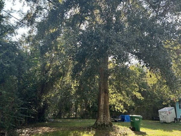 Dixie Avenue, Gulfport, MS 39501