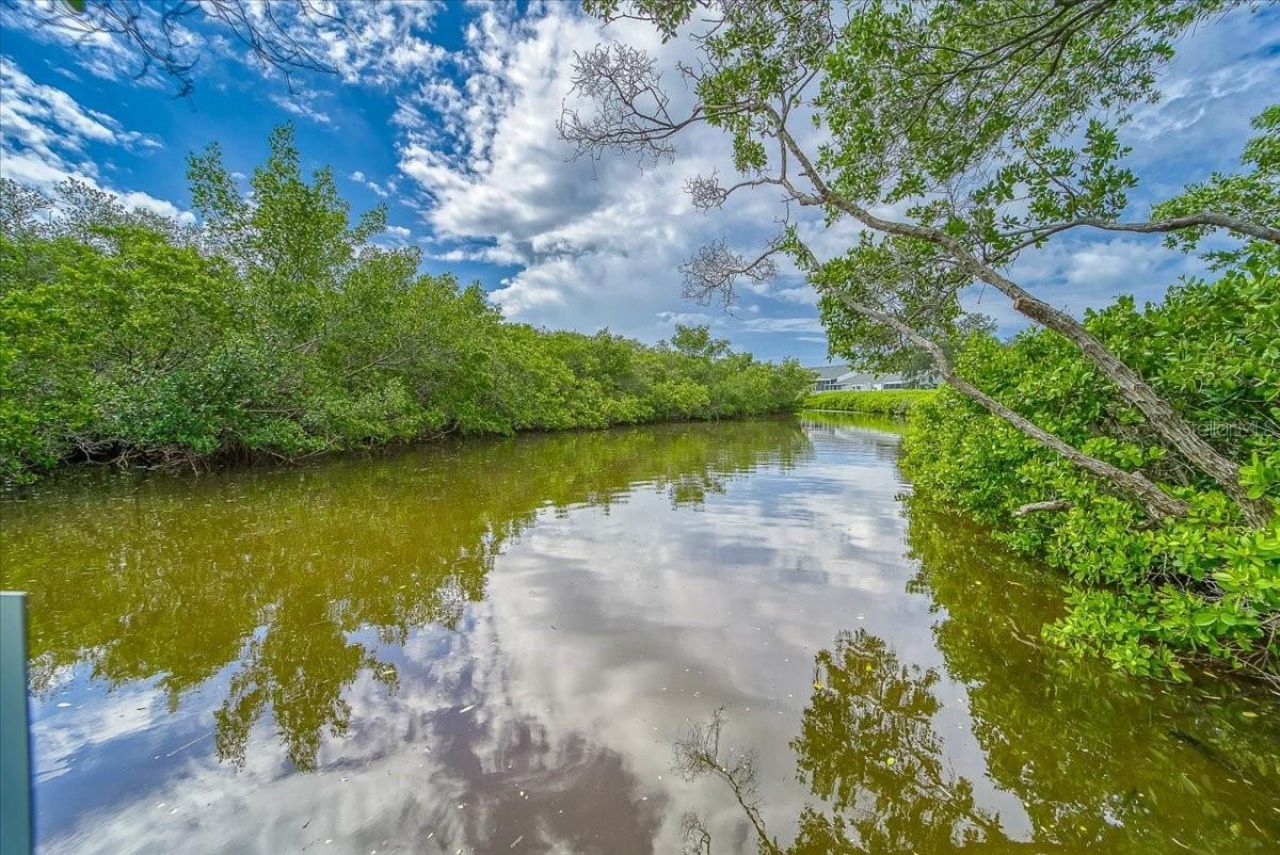 1343 Perico Point Circle, Unit 117, Bradenton, FL 34209 Photo