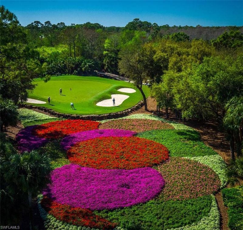 4300 Brynwood Dr, Naples, FL 34119 Photo