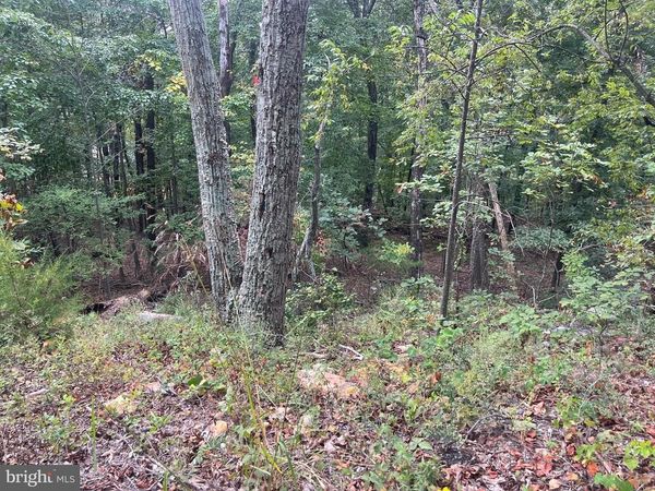 Lot 41 PANORAMA VIEW, STANLEY, VA 22851