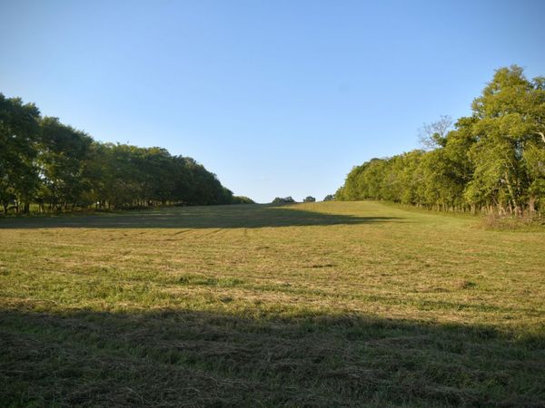 2 Mount Joy Rd, Mount Pleasant, TN 38474