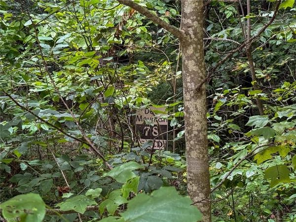 000 Antler Drive , McGrady, NC 28649