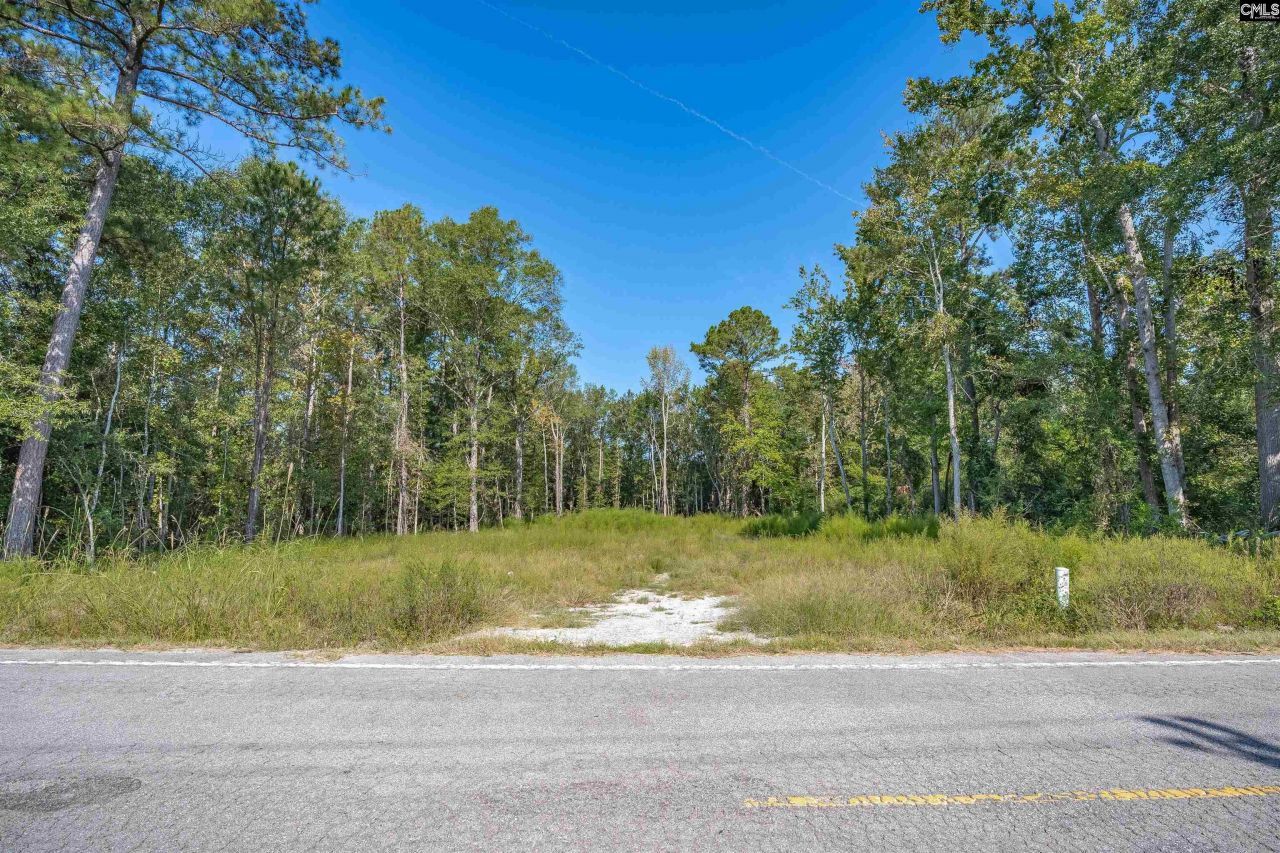 1532 Martin Luther King Boulevard Photo 4