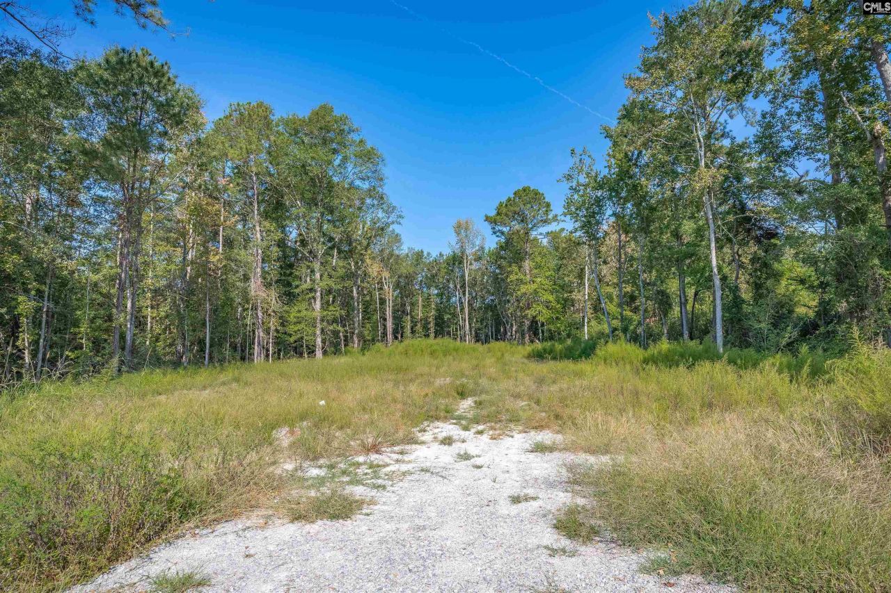 1532 Martin Luther King Boulevard Photo 5