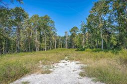 1532 Martin Luther King Boulevard photo 4