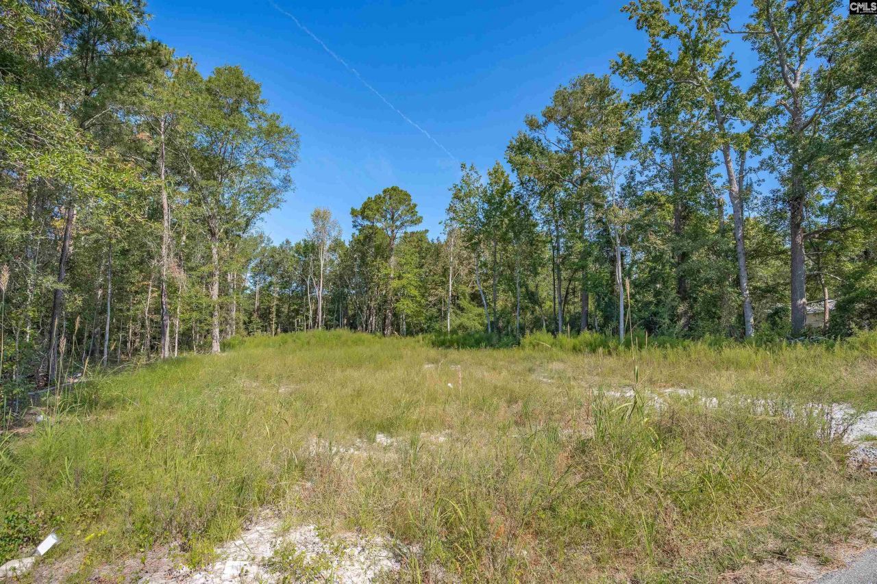 1532 Martin Luther King Boulevard Photo 6