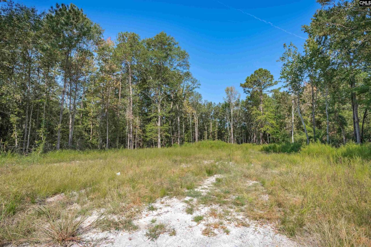 1532 Martin Luther King Boulevard Photo 7