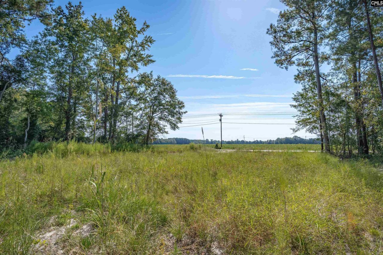 1532 Martin Luther King Boulevard Photo 9