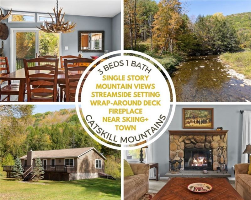 2429 Dry Brook Road, Arkville, NY 12406 Main Photo