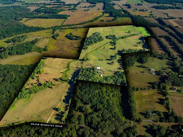 0 Frank McKelvey Road, Palmersville, TN 38241