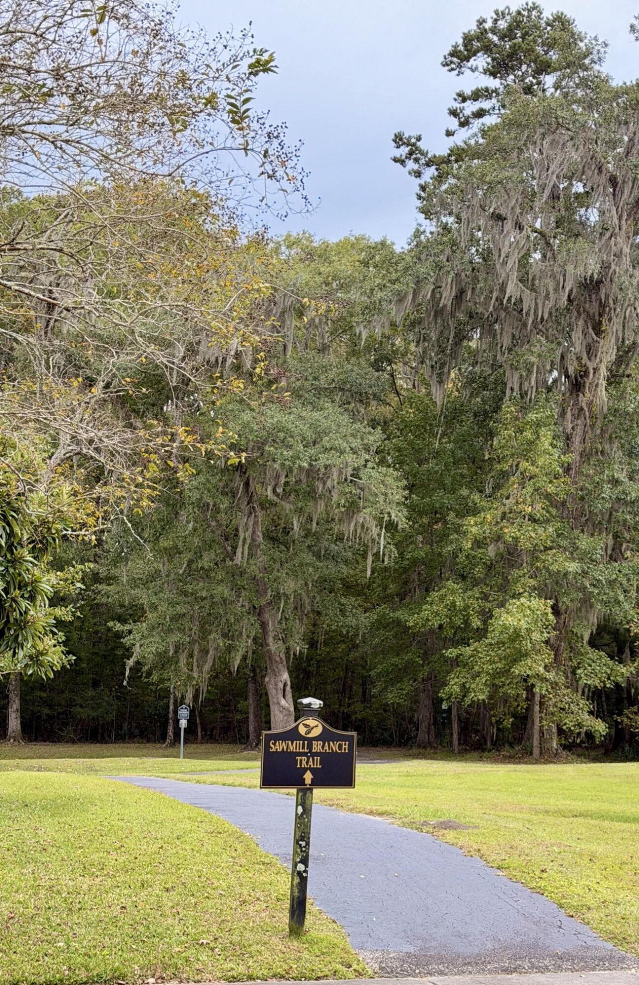 105 Chinquapin Drive Photo 34