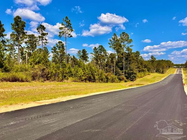 Lot 3 Morgans Branch, Molino, FL 32577