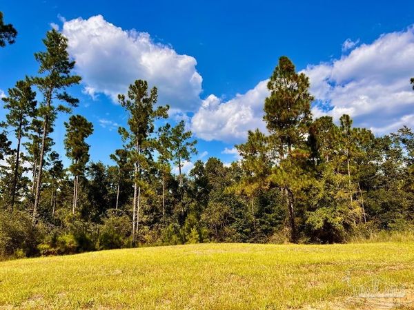 Lot 4 Morgans Branch, Molino, FL 32577