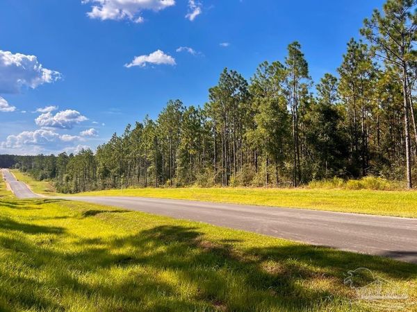 Lot 5-1403 Morgans Branch, Molino, FL 32577