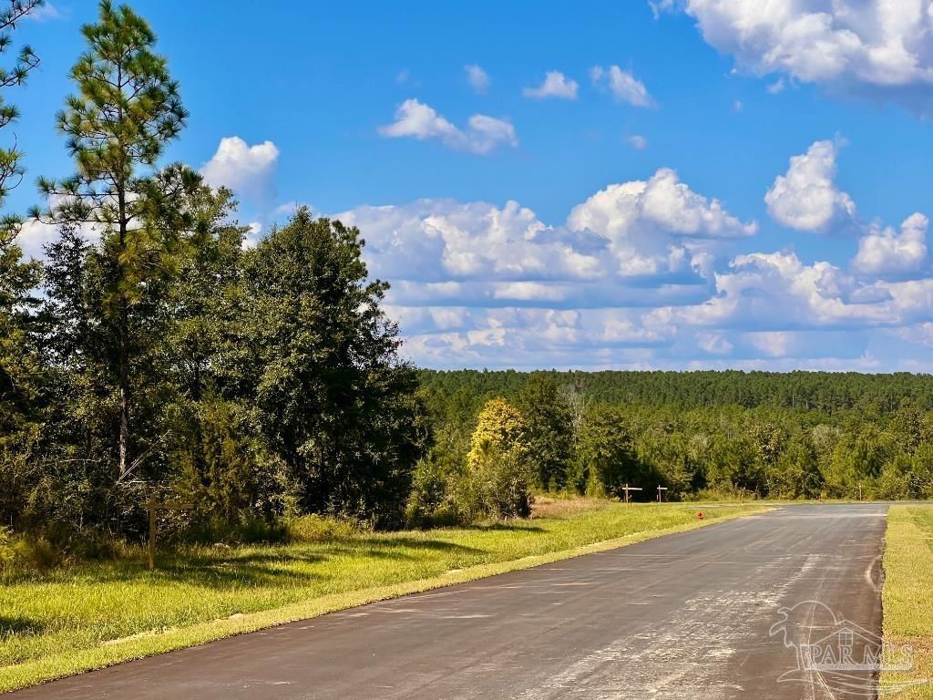 Lot 13 Morgans Branch, Molino, FL 32577 Main Photo