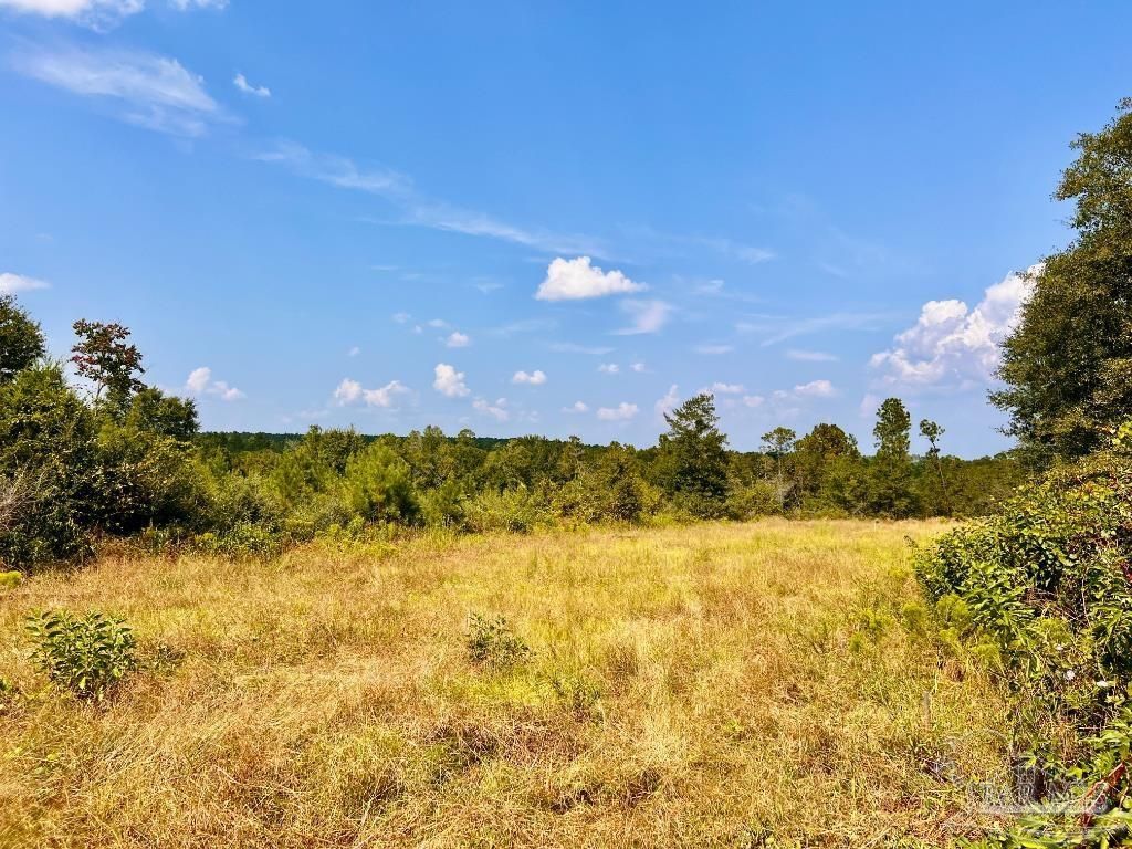 Lot 16 Morgans Branch, Molino, FL 32577 Main Photo