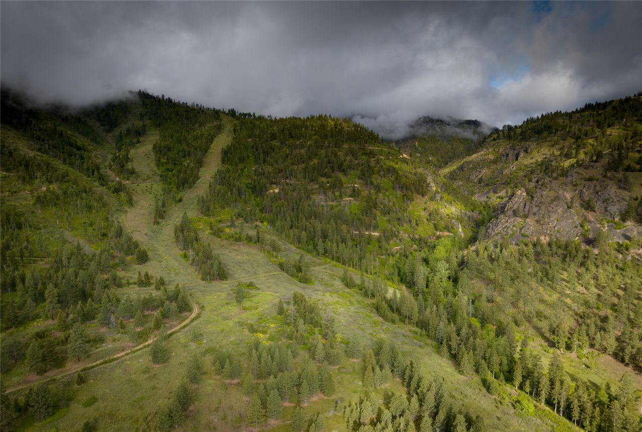 8744 Mcclain Creek Road , Florence, MT 59833 Main Photo