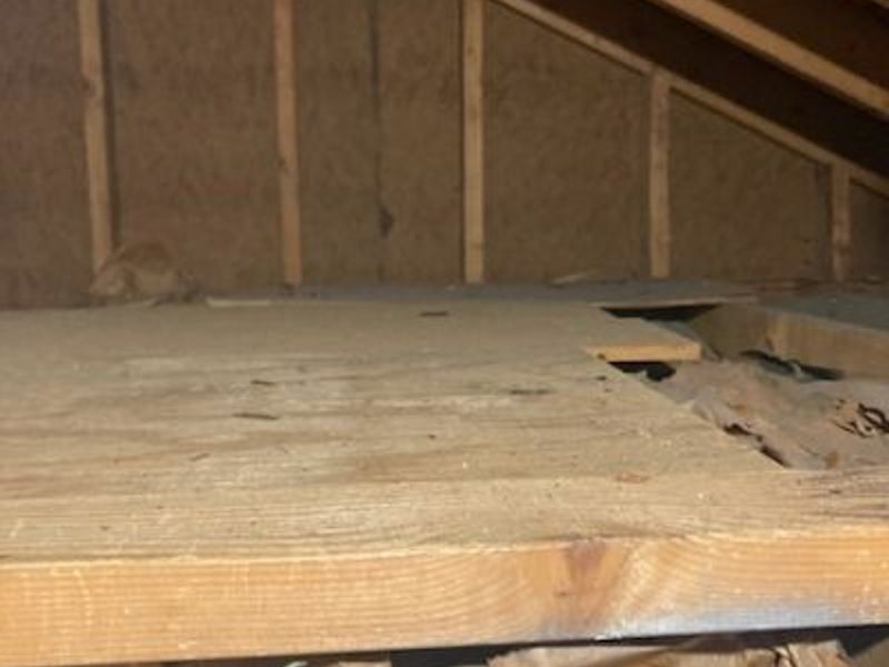 3115 Bradley Road, Westlake, OH 44145 Photo 32