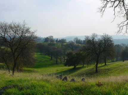 6550 Jackson Valley Rd, Ione, CA 95640 Photo