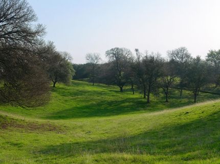 6550 Jackson Valley Rd, Ione, CA 95640 Photo