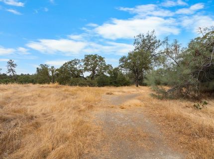 6550 Jackson Valley Rd, Ione, CA 95640 Photo