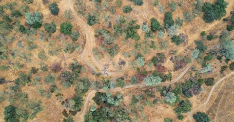 6550 Jackson Valley Rd, Ione, CA 95640 Photo