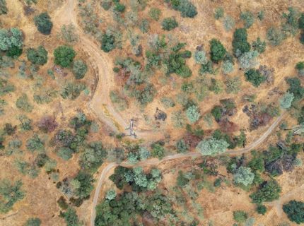 6550 Jackson Valley Rd, Ione, CA 95640 Photo