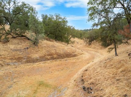 6550 Jackson Valley Rd, Ione, CA 95640 Photo