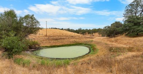 6550 Jackson Valley Rd, Ione, CA 95640 Photo