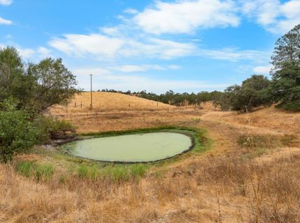 6550 Jackson Valley Rd, Ione, CA 95640 Photo