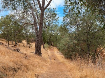 6550 Jackson Valley Rd, Ione, CA 95640 Photo