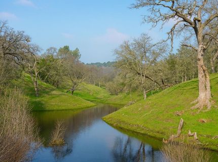 6550 Jackson Valley Rd, Ione, CA 95640 Photo