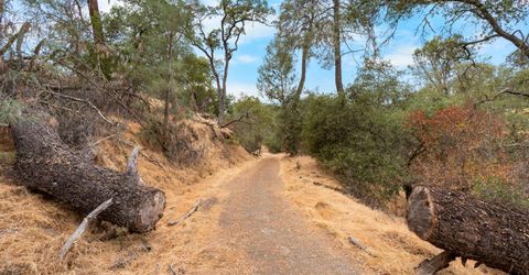 6550 Jackson Valley Rd, Ione, CA 95640 Photo