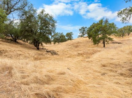 6550 Jackson Valley Rd, Ione, CA 95640 Photo