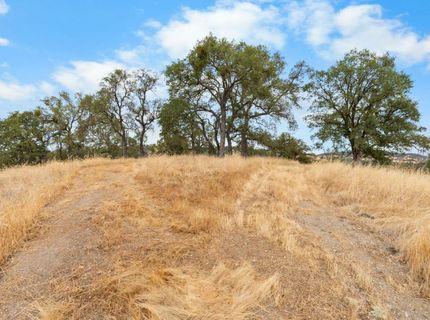 6550 Jackson Valley Rd, Ione, CA 95640 Photo